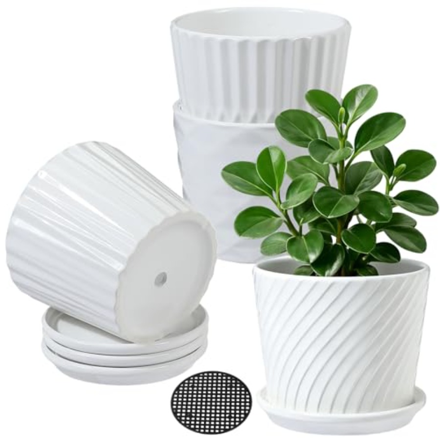 Snake Plant Ceramic - Керамические горшки-цилиндры для растений с прикрепленной