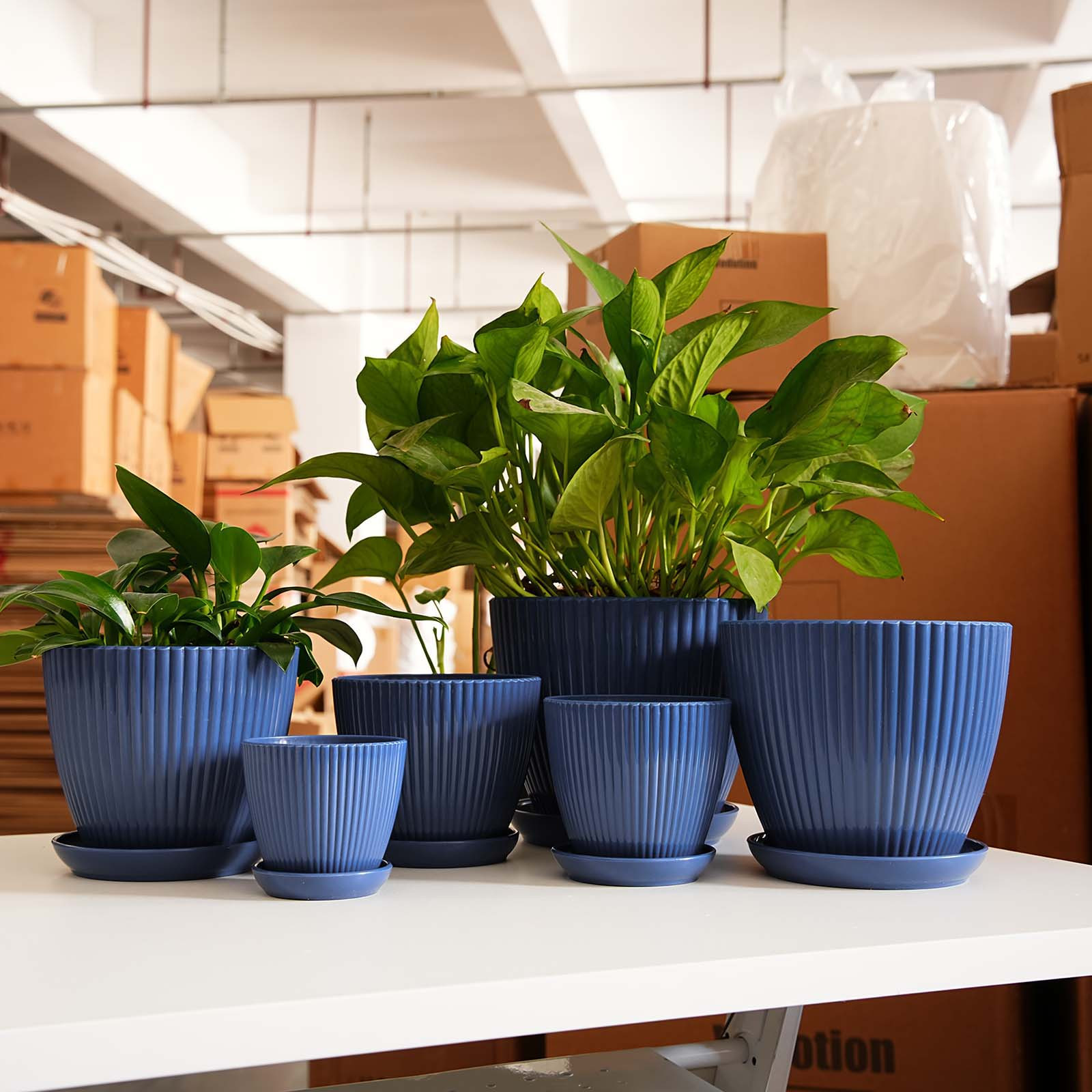Snake Plant Ceramic - Вертикальный полосатый цветочный горшок из утолщенного