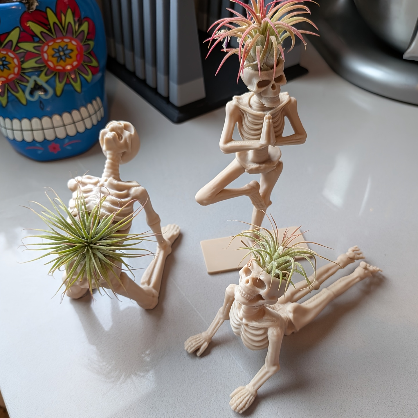 Snake Plant Ceramic - 3D-печатная подставка для растений в виде