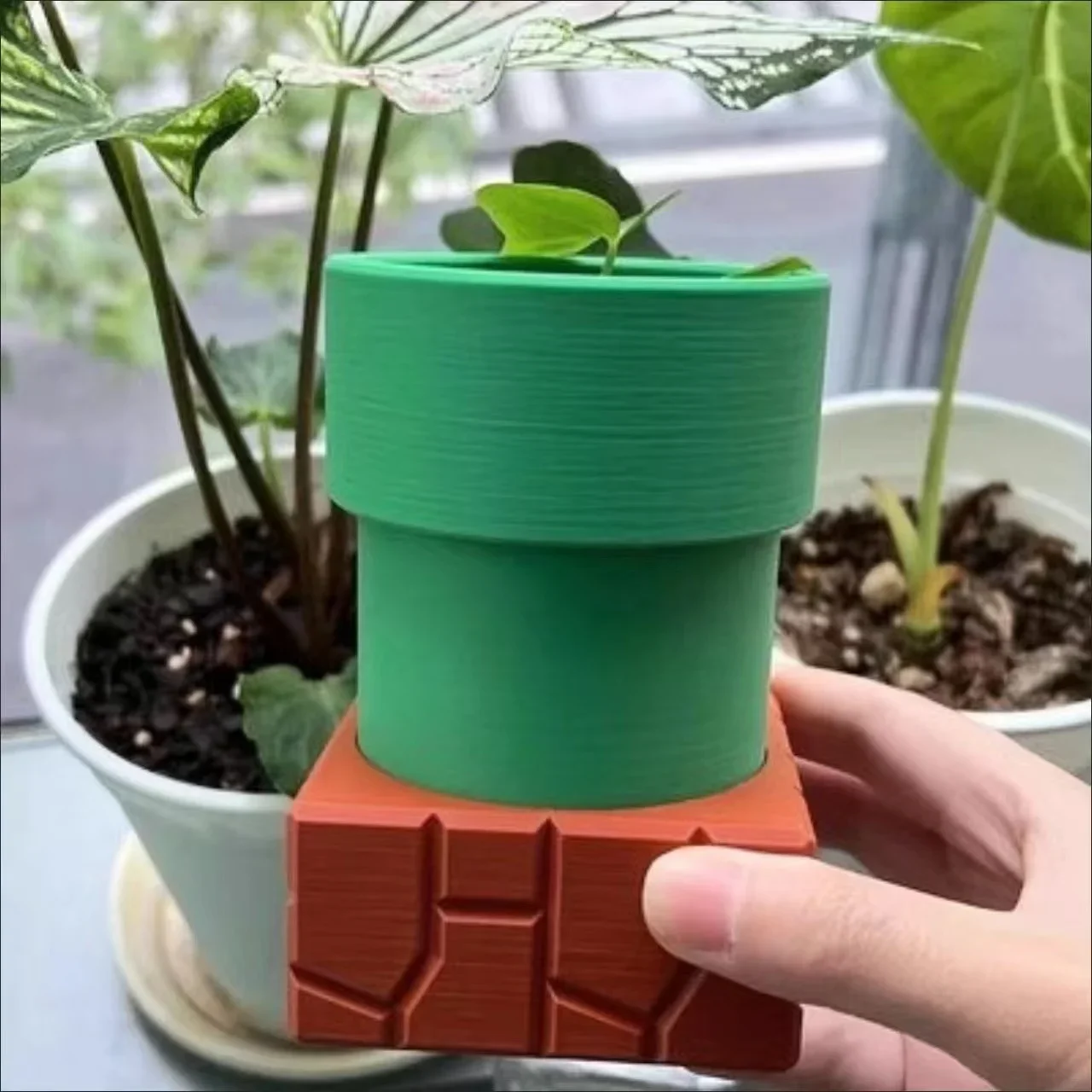 Водопроводные горшки-каннибал, – обзор и цена Snake Plant Ceramic