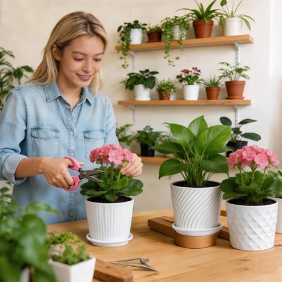 Керамические горшки-цилиндры д – обзор и цена Snake Plant Ceramic