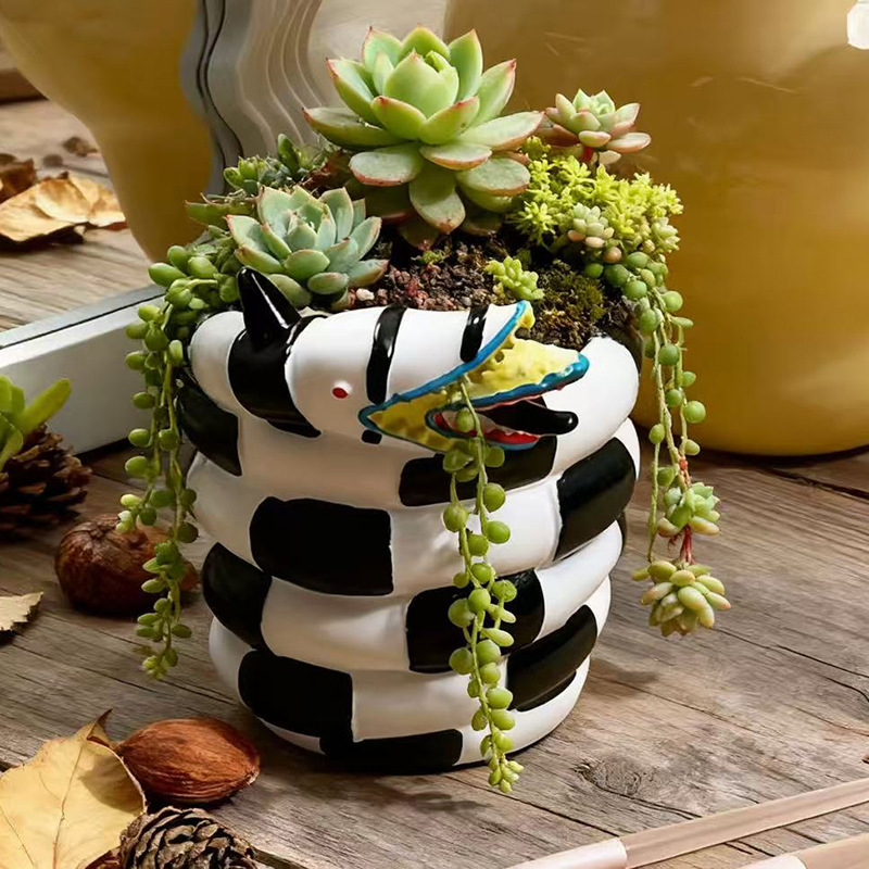 1 шт. черно-белый цветочный го – обзор и цена Snake Plant Ceramic
