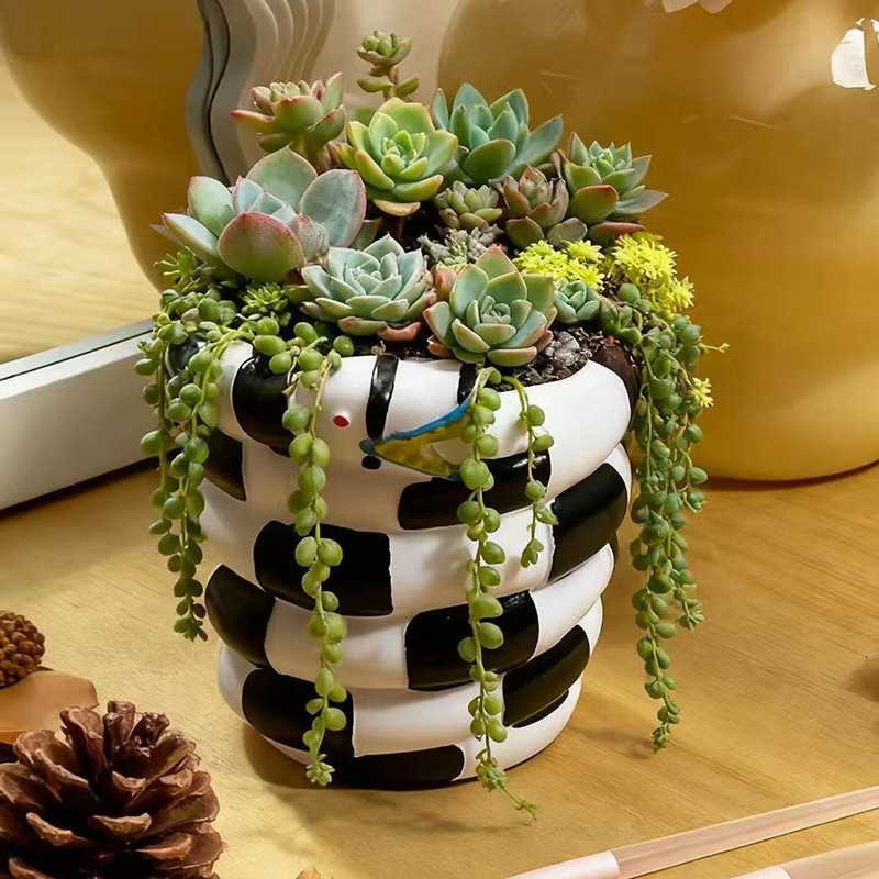 1 шт. черно-белый цветочный го – обзор и цена Snake Plant Ceramic