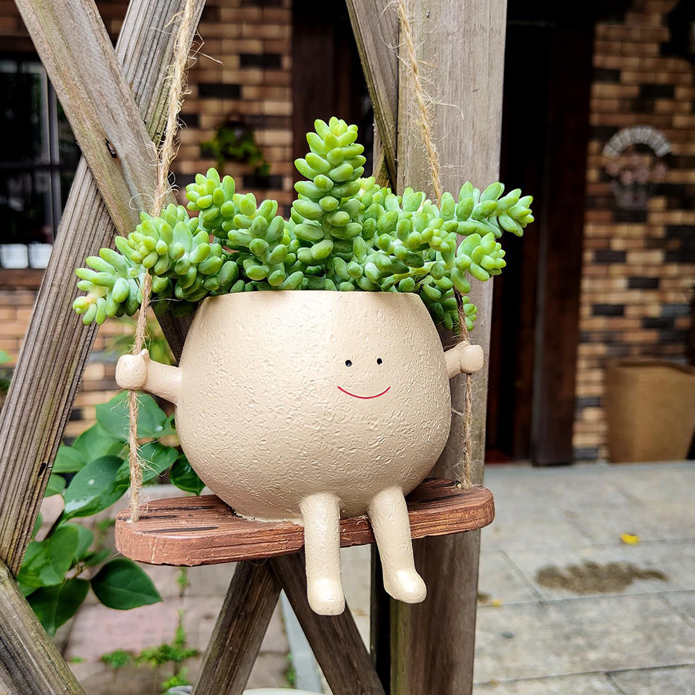 Качели, контейнер для цветов,  – обзор и цена Snake Plant Ceramic