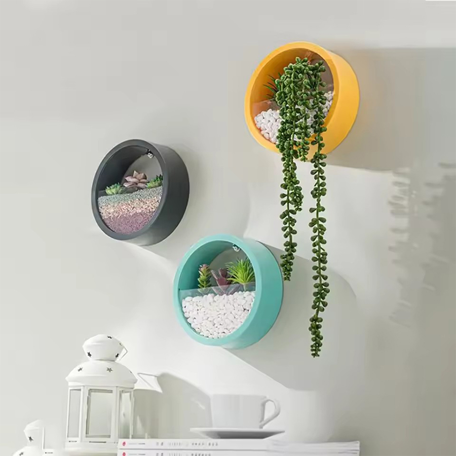 Круглый настенный кашпо для ра – обзор и цена Snake Plant Ceramic
