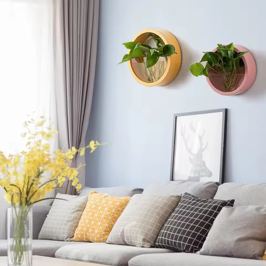 Круглый настенный кашпо для ра – обзор и цена Snake Plant Ceramic