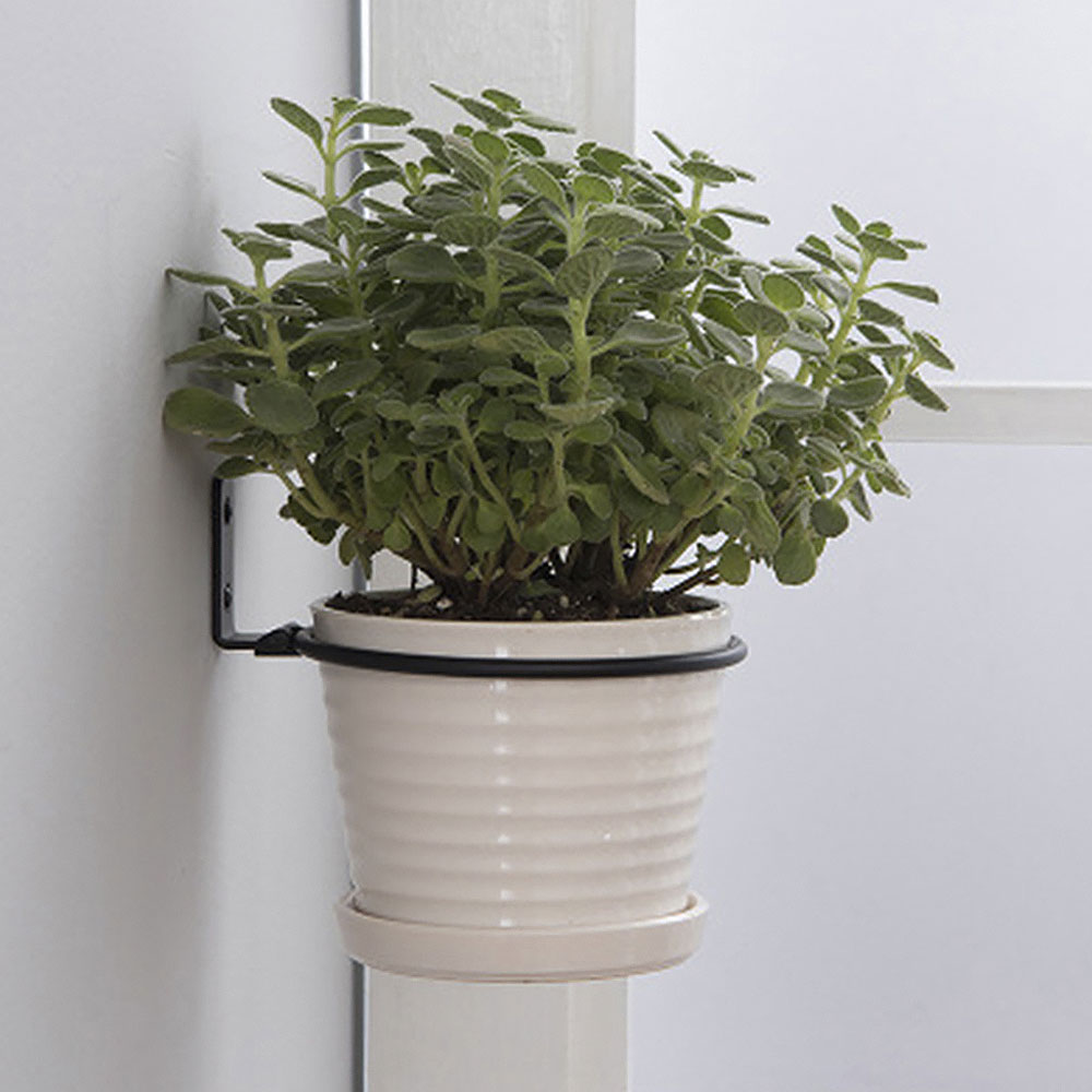 Подносы для цветочных горшков, – обзор и цена Plant Parents