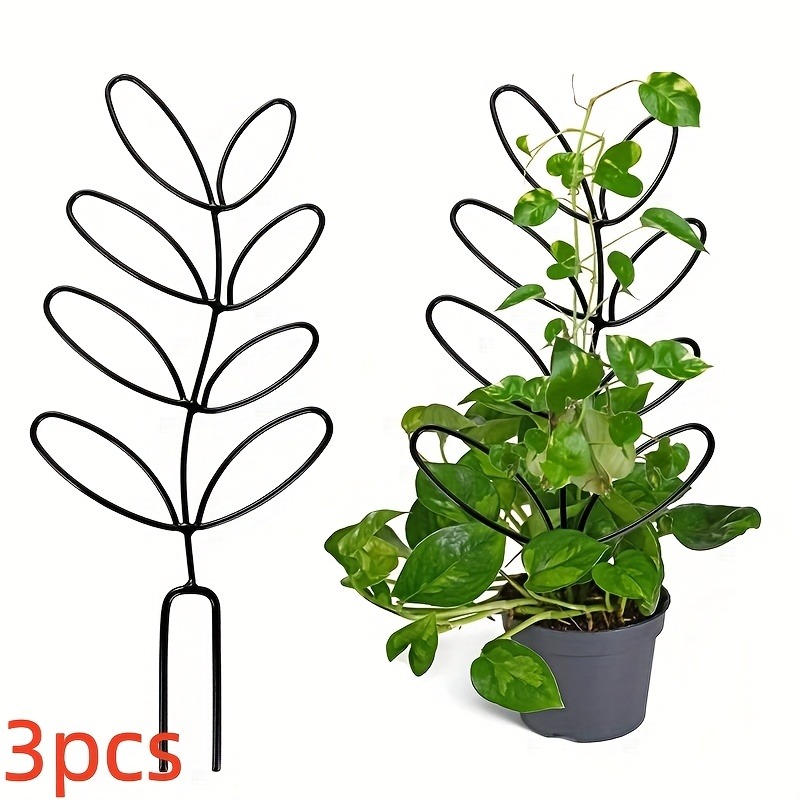 3 шт., рамка для поддержки рас – обзор и цена Plant Parents