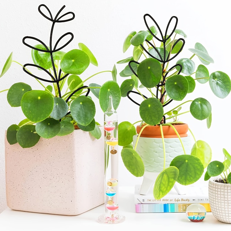 3 шт., рамка для поддержки рас – обзор и цена Plant Parents