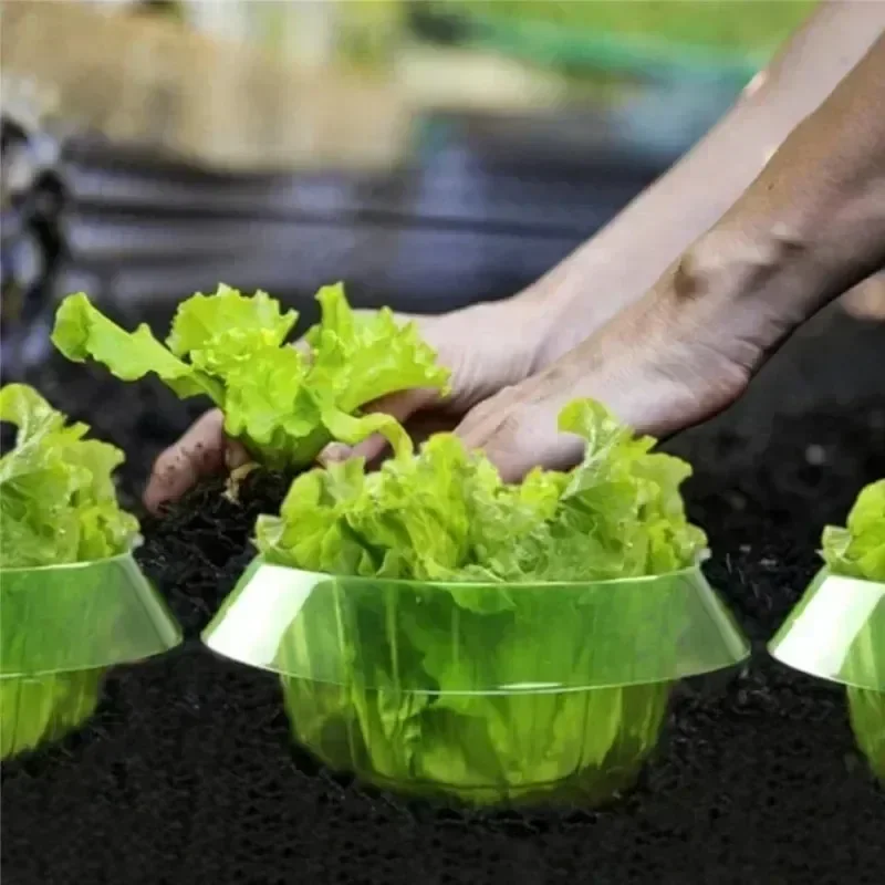 Защитные кольца для слизи раст – обзор и цена Plant Parents