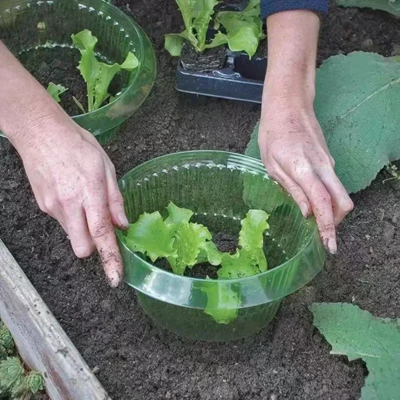 Защитные кольца для слизи раст – обзор и цена Plant Parents