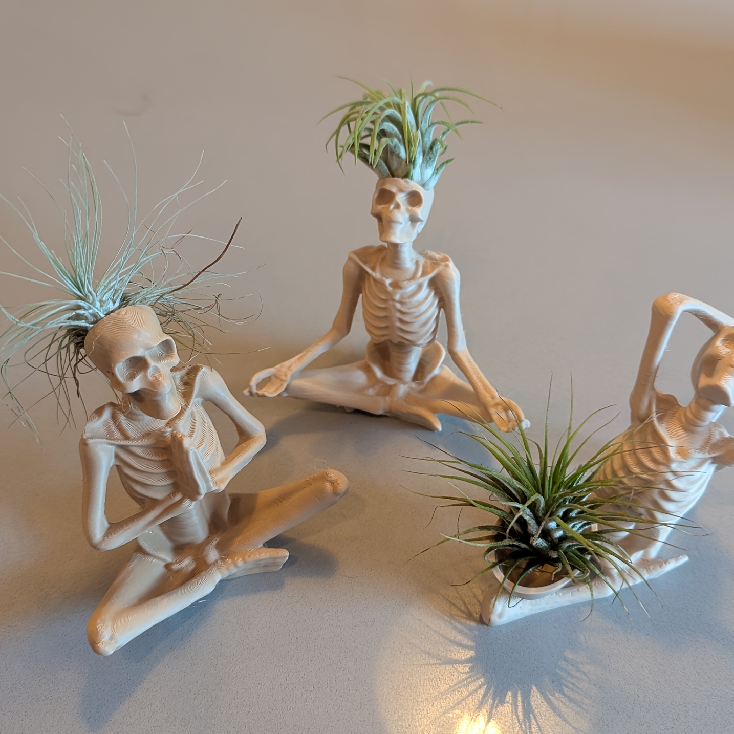 3D-печатная подставка для раст – обзор и цена Snake Plant Ceramic